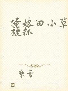 俺娘田小草喜凤被抓