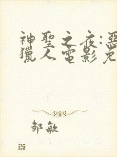 神圣之夜:恶魔猎人电影免费观看封面