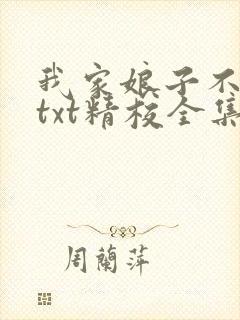 我家娘子不对劲txt精校全集下载