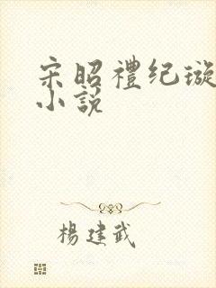 宋昭礼纪璇原著小说封面