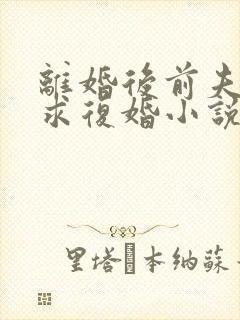 离婚后前夫哭着求复婚小说阅读全部