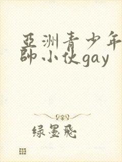 亚洲青少年同性帅小伙gay封面