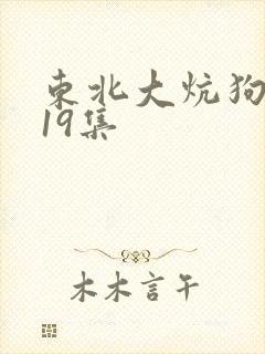 东北大炕狗儿娘19集封面