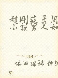 赵刚苏柔周明权小说男人如铁