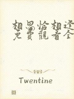 相思恰相逢短剧免费观看全集高清