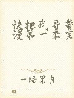 快把我哥带走动漫第一季完整版