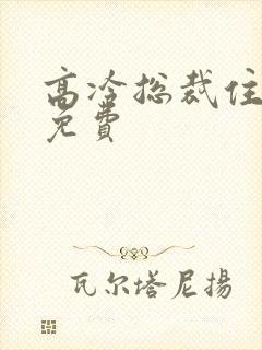 高冷总裁住隔壁免费