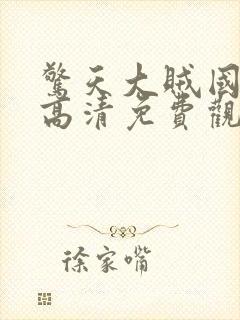 惊天大贼国语版高清免费观看