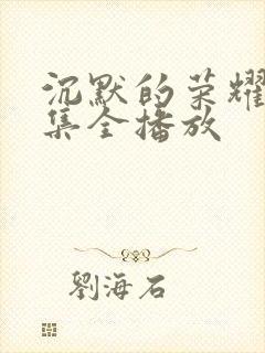 沉默的荣耀40集全播放封面