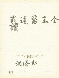 武道医王全本阅读