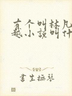 有个叫林凡的穿越小说叫什么名字