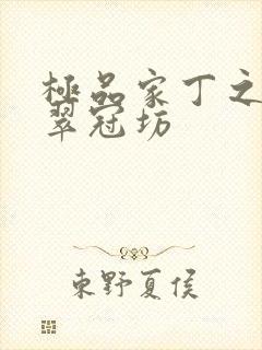 极品家丁之改编翠冠坊封面