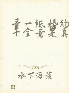 看一纸婚约,假千金竟是真大佬小说