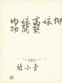 肉嫁高嫁柳家人物关系