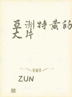 亚洲特黄的黄色大片