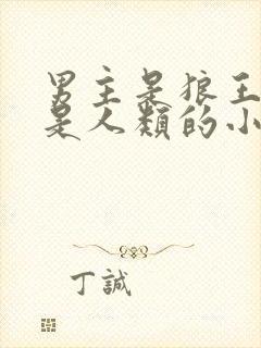 男主是狼王女主是人类的小说