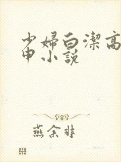 少妇白洁高义王申小说