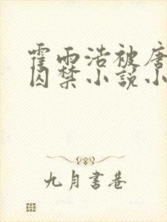 霍雨浩被唐舞麟囚禁小说小说