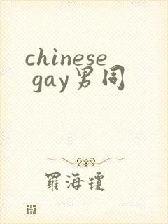 chinese gay男同