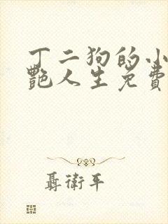 丁二狗的小说猎艳人生免费阅读全文