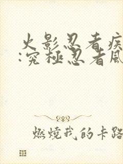 火影忍者疾风传:究极忍者风暴