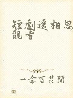 短剧遥相思免费观看