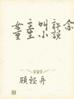 女主叫许念初的重生小说