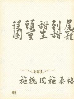 从头甜到尾的校园重生甜宠文