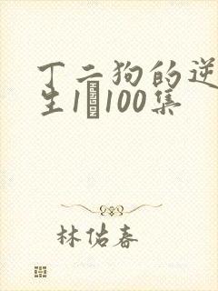 丁二狗的逆袭人生1–100集