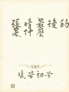 张晴最后的结局是什么封面