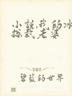 小说,我的冰山总裁老婆