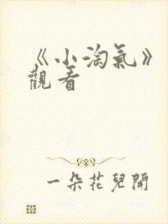 《小淘气》在线观看封面