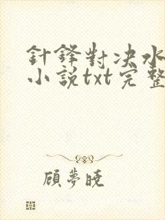 针锋对决水千丞小说txt完整版