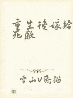 重生后嫁给前夫死敌