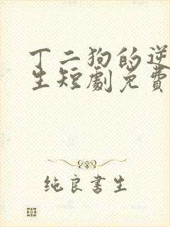 丁二狗的逆袭人生短剧免费观看封面