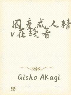 国产成人精品av在线看