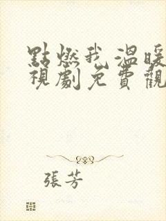 点燃我温暖你电视剧免费观看软件