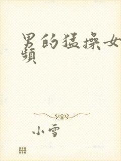 男的猛操女的视频