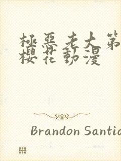 极恶老大第二季樱花动漫