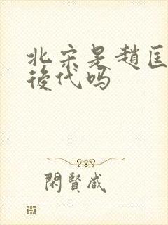 北宋是赵匡胤的后代吗封面