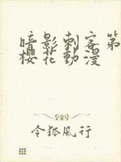 暗影刺客第五季樱花动漫