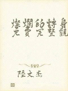 灿烂的转身高清免费完整观看