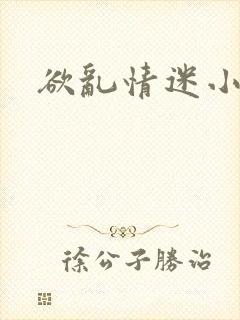 欲乱情迷小说封面