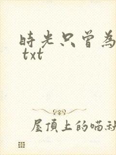 时光只曾为你留 txt