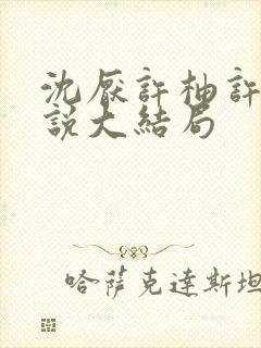 沈厌许柚许野小说大结局封面