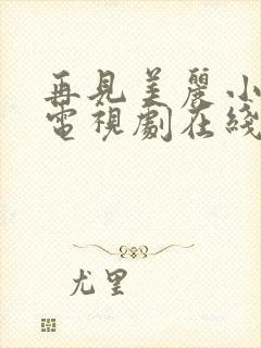 再见美丽小姐 电视剧在线观看韩网