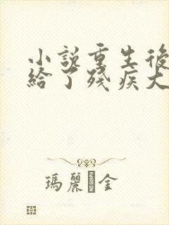 小说重生后我嫁给了残疾大佬