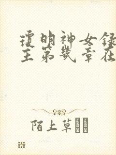 琼明神女录各女主第几章在一起封面