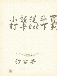 小说从斗罗开始打卡txt下载