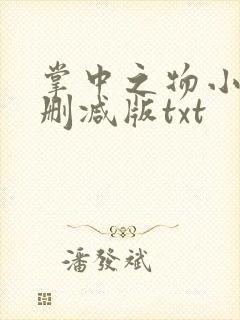 掌中之物小说未删减版txt